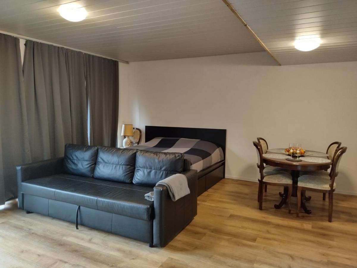 Spacieux Studio 38M2 Les Paccots Εξωτερικό φωτογραφία