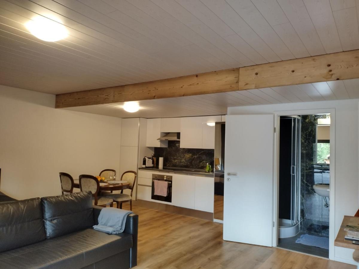 Spacieux Studio 38M2 Les Paccots Εξωτερικό φωτογραφία